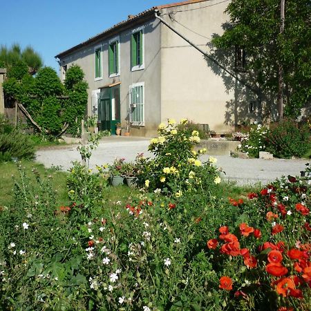 Virevent Villa Carcassonne Exterior foto
